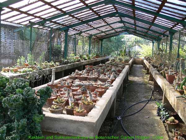 the greenhouse; photo Hans Havel 01/2007