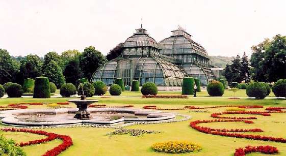 BG-Schnbrunn - Palmenhaus (Foto Jan Myn)