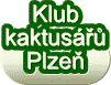 logo Klub kaktus Plze