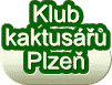 logo Klub kaktus��� Plze�