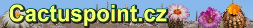 logo Cactuspoint.cz