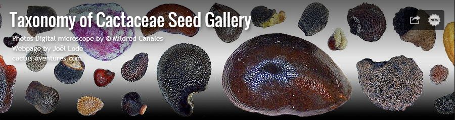 Taxonomy of Cactaceae Seed Gallery